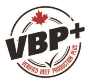 vbp