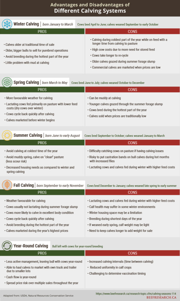 Advantages and disadvantages of different calving systems.