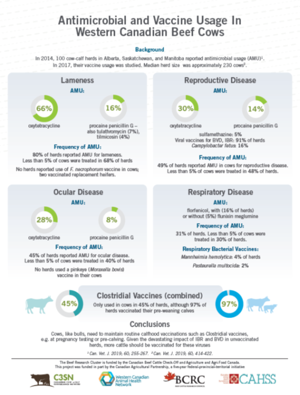 Antimicrobial and vaccine usage in western Canadian beef cows