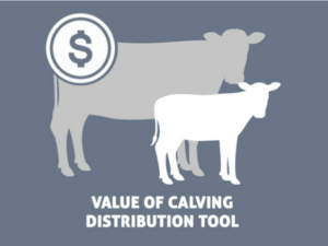 The Beef Cattle Research Council's Value of calving distribution tool
