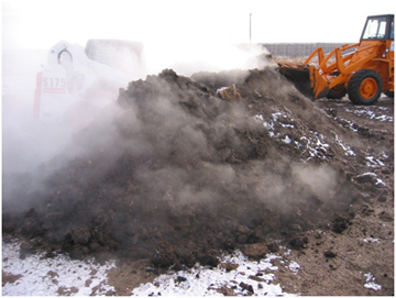 compost pile