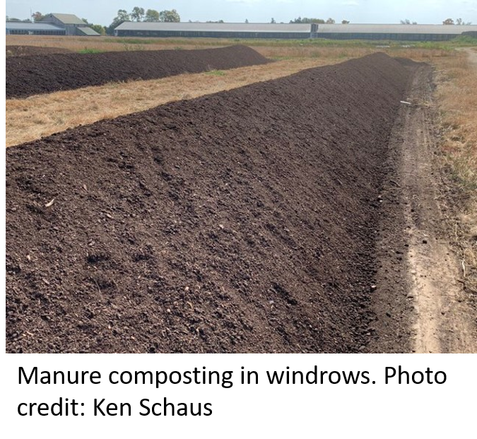 manure composting in windrows