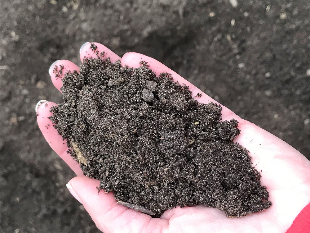 Soil