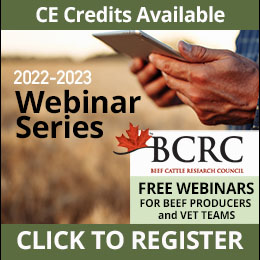 2022-2023 BCRC webinar series