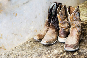 dirty farm boots and floors needing cleaning and disinfecting