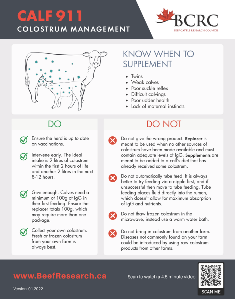 colostrum management checklist