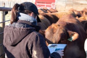 woman reviews bull sale book