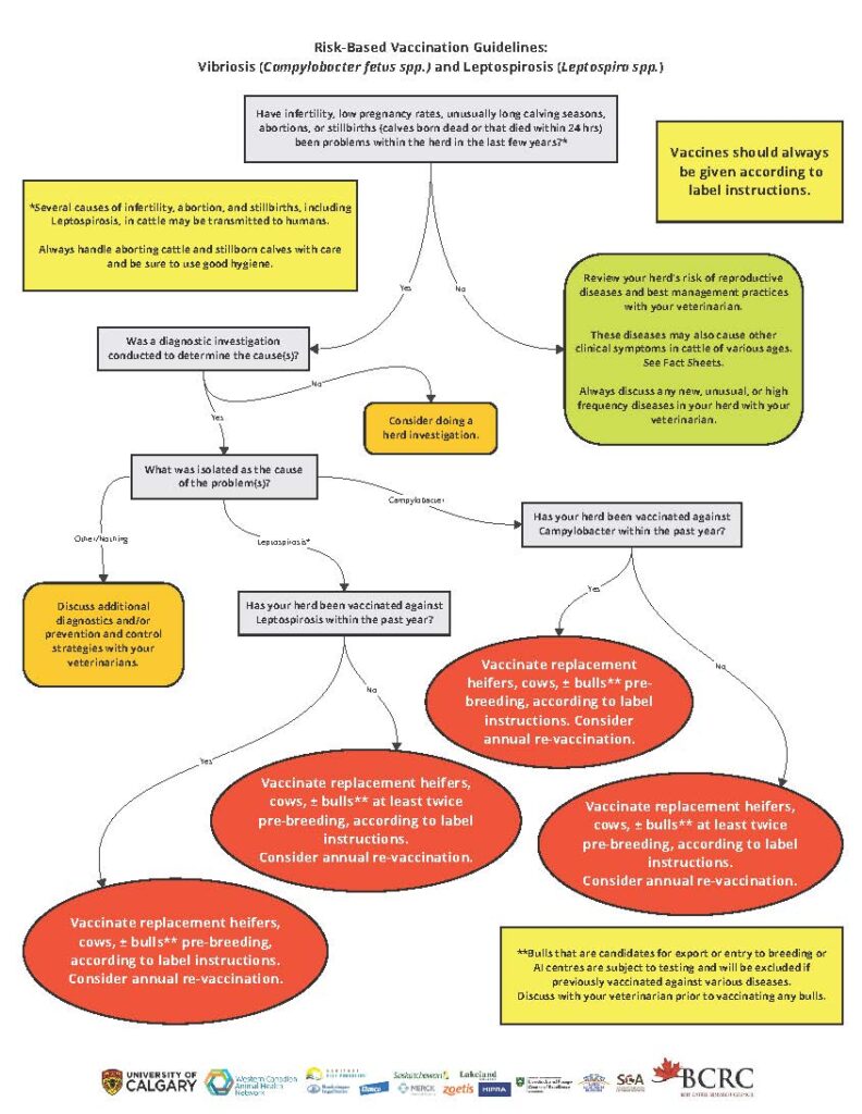 campy lepto vaccination guidelines
