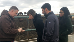 Beef Researcher Mentorship participants 2018