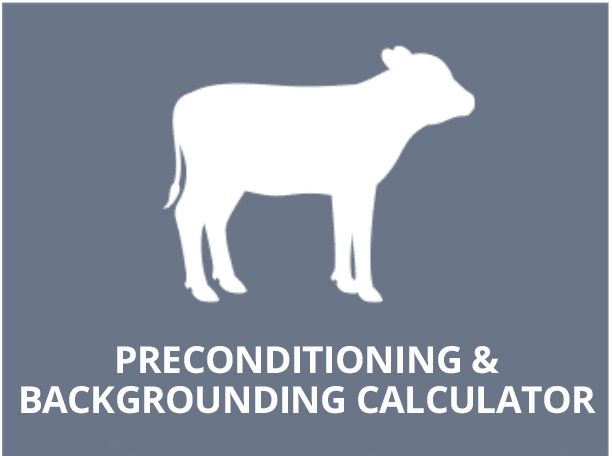 bcrc preconditioning and backgrounding calculator