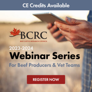 2023-24 beef webinar series