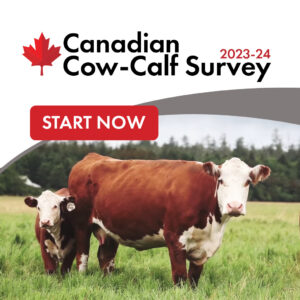 cow-calf survey