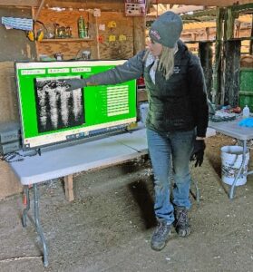 Jacy McInnis carcass ultrasound demo at Beef Day @ Dal