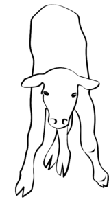 "dummy calf" appearance or stupor is a symptom of respiratory acidosis in newborn calves