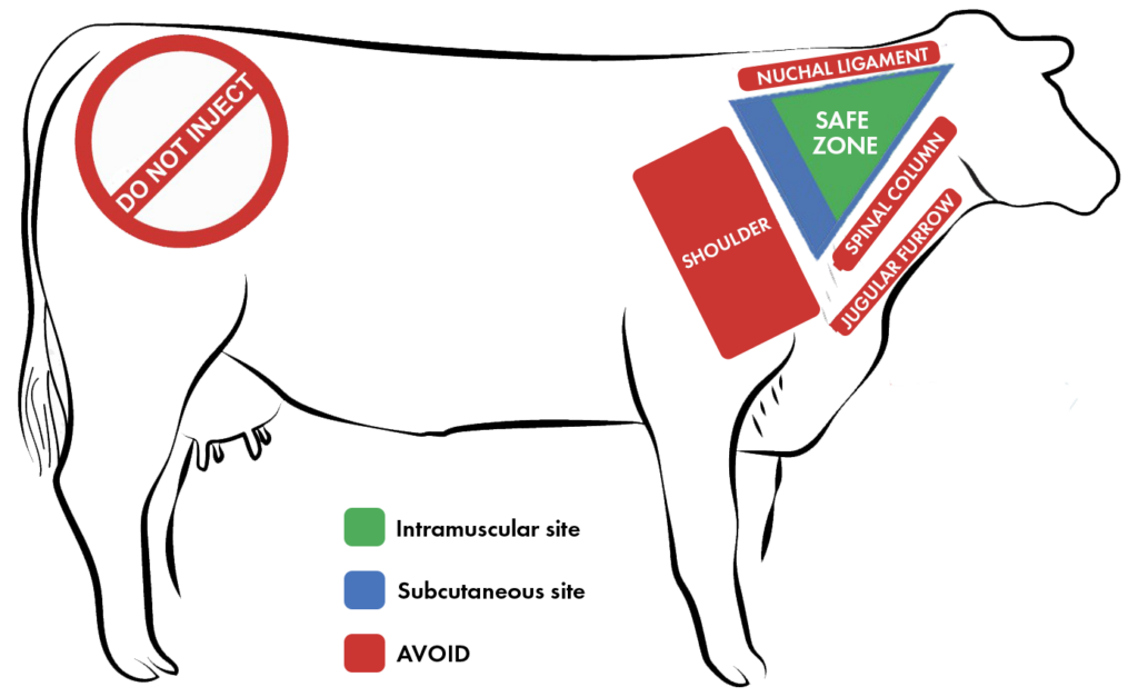 cattle injection zones