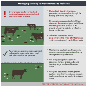 grazing impact on parasites