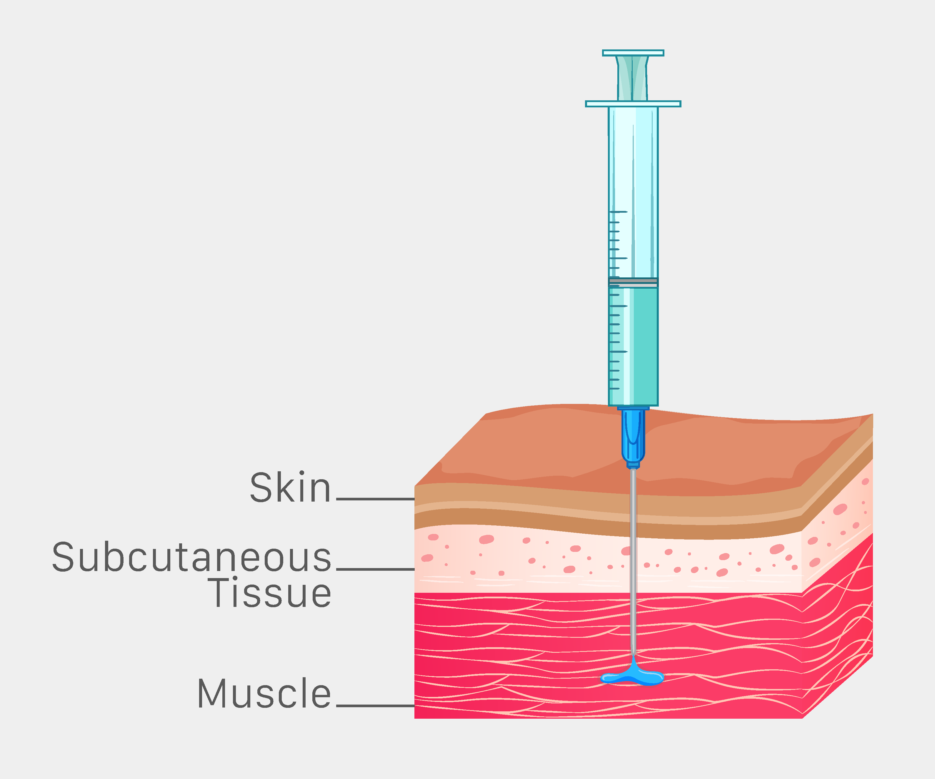 intramuscular injections for beef cattle