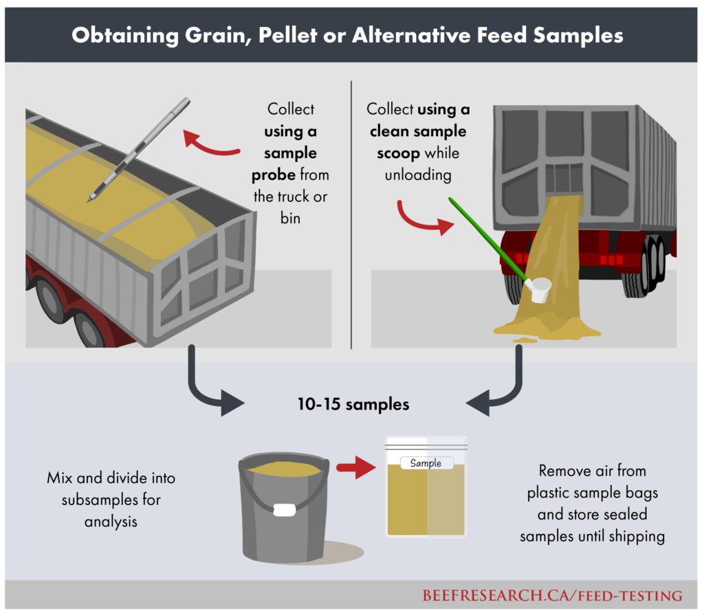 grain, pellet or alternative feed sampling