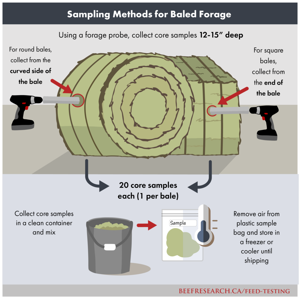 sampling methods for baled forage