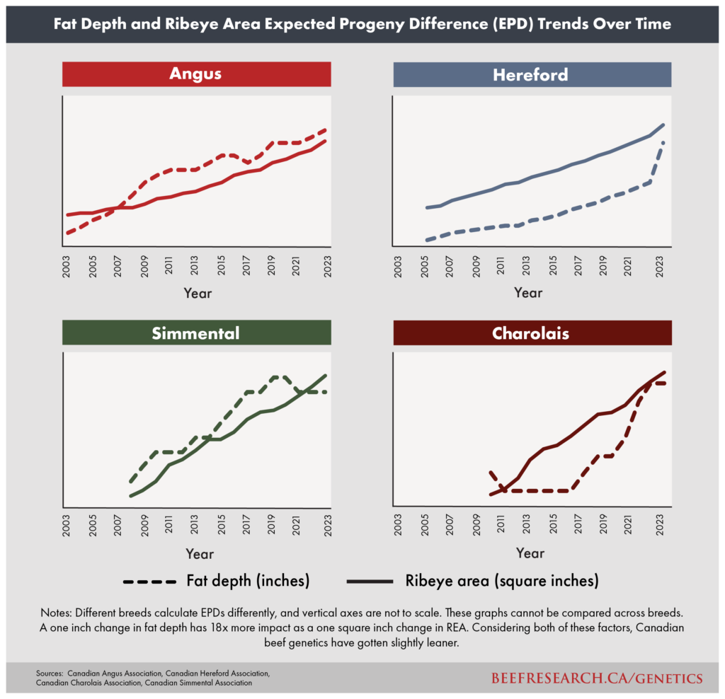 Beef fat depth and ribeye area expected progeny difference trends